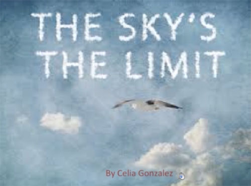 sky is the limit
