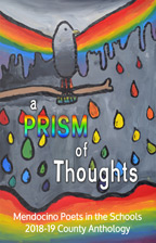 a prism of thoughts